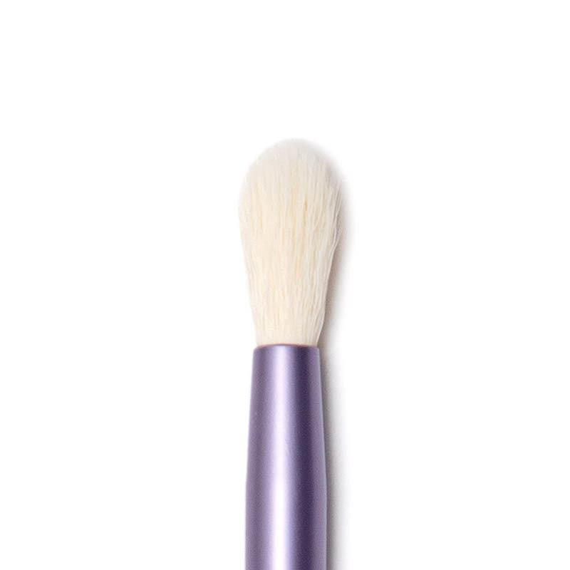 INDEED 03 Blender brush